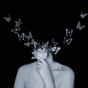 'Metamorphose' Butterflies Illusion Video by Ana Cedoviste